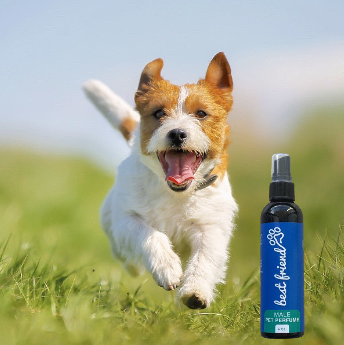 PERFUME PARA MASCOTAS - MASCULINO 4.5oz