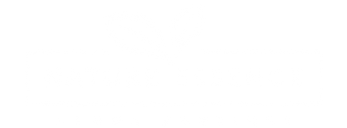 Nature Essence Aroma